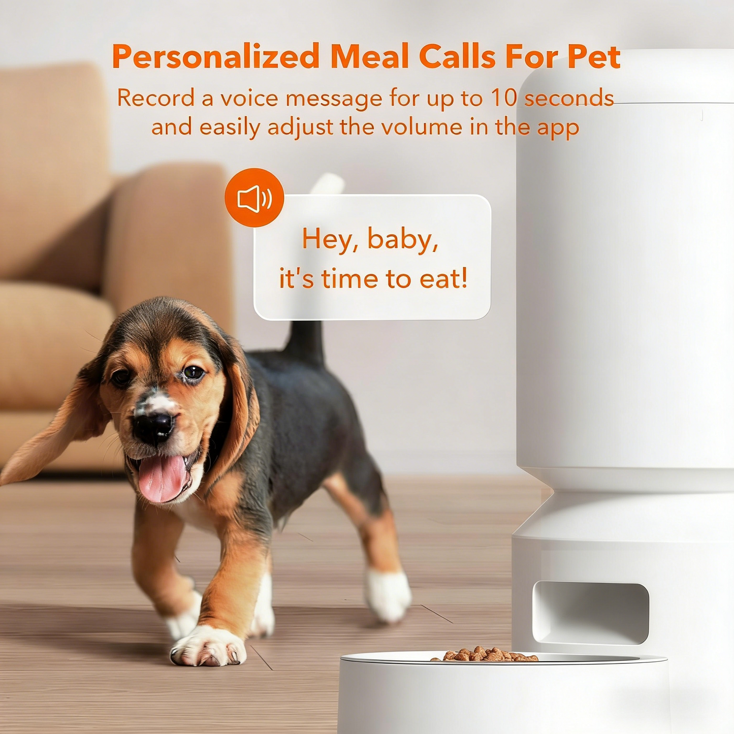 Smart Automatic Pet Feeder