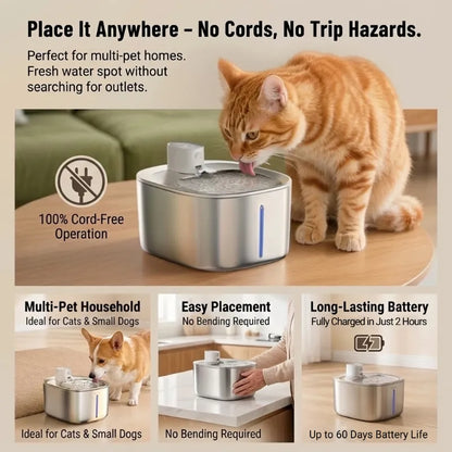 Wireless Pet Fountain – Pure, Filtered & Perfectly Warm